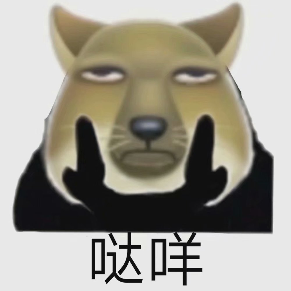 熊猫表情包你根本就不懂光