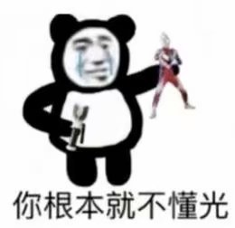 熊猫表情包你根本就不懂光