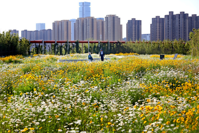 西安:市民游客雁南公园踏青赏花