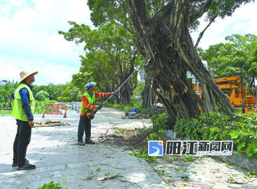 梁文栋 摄阳江日报讯(记者/朱俏施)连日来,市