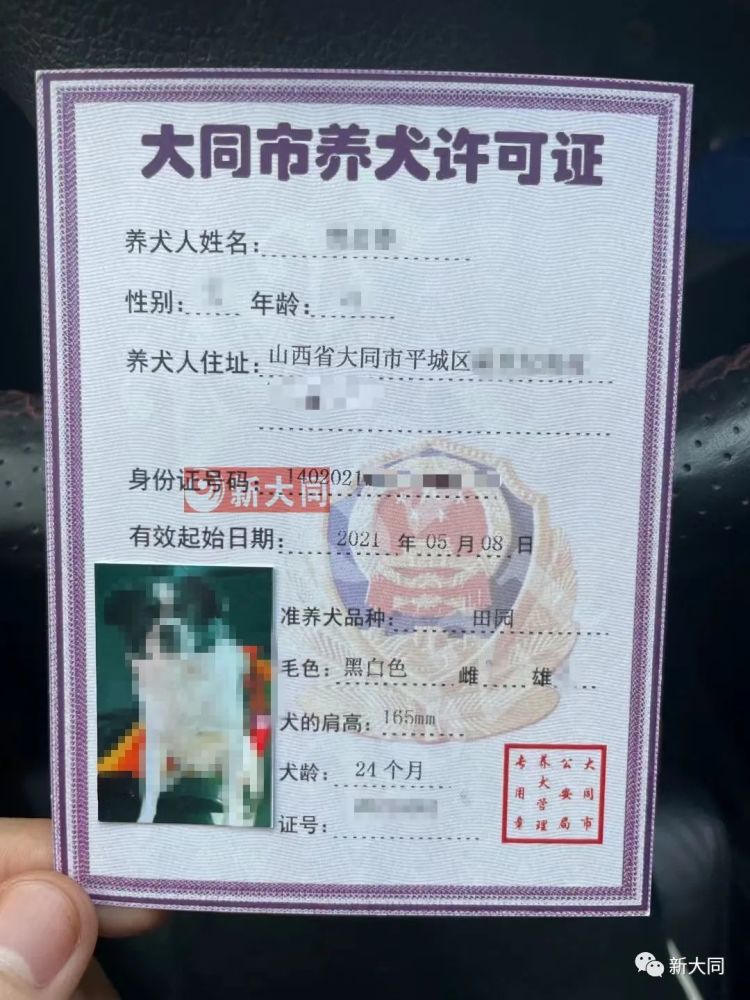 尽快申领《养犬许可证》!这74类犬大同严禁饲养