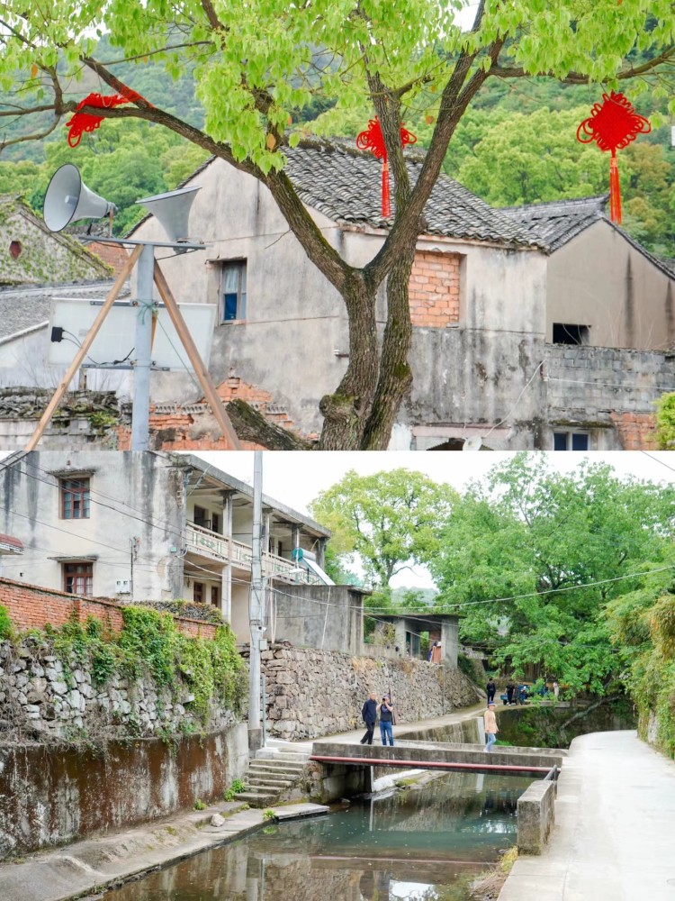 宁波旅行|藏在鄞州区的美丽古村落-芦浦村如果没来过芦浦