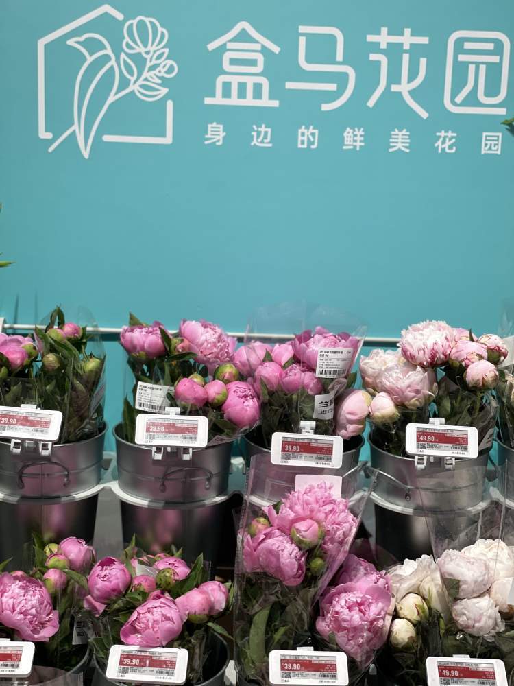 每天全国14个鲜花基地送花到沪盒马花园亮相上海