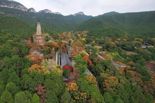 山东景点推荐,济南灵岩寺#低音号导游