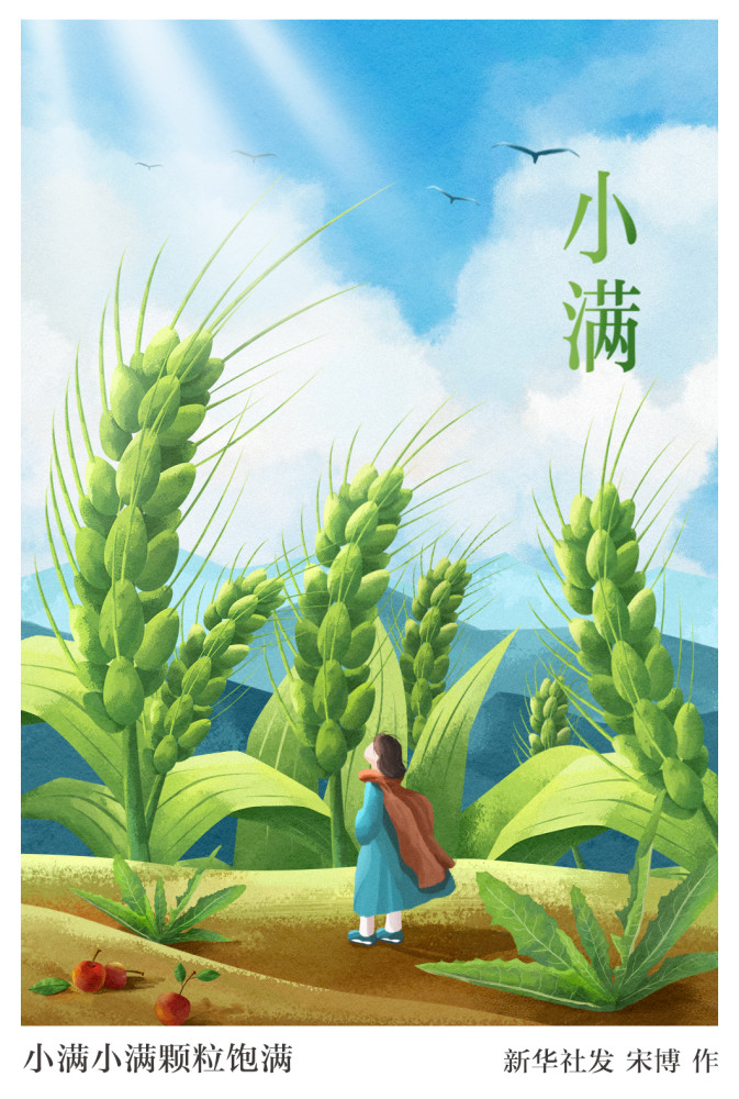 (图表·插画)【二十四节气·小满】小满小满颗粒饱满