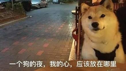 情侣勿进!520适合单身狗发的文案