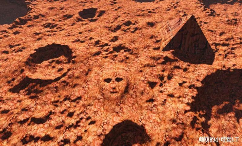 现实或幻象在火星上发现了类似于地球森林的奇怪物体