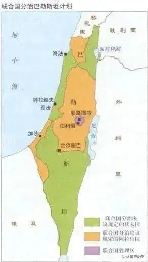 命归森林：探寻生肖背后的自然哲学