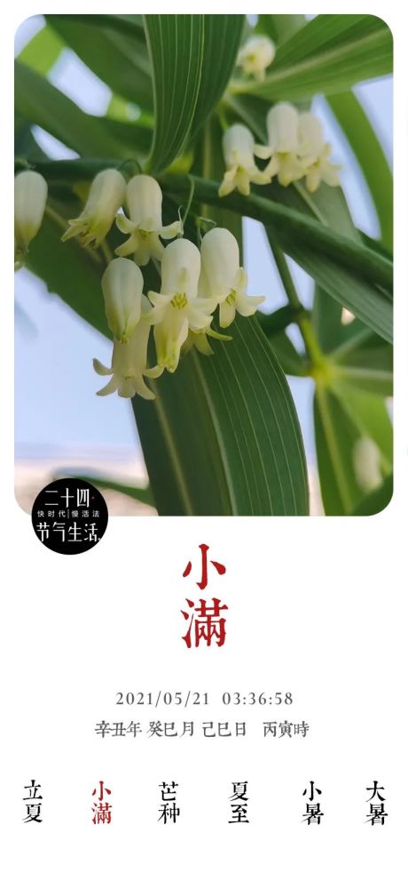 小满|满而不溢