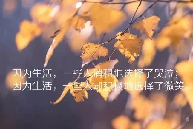 朋友圈说说心情短语,适合发朋友圈的高情商句子