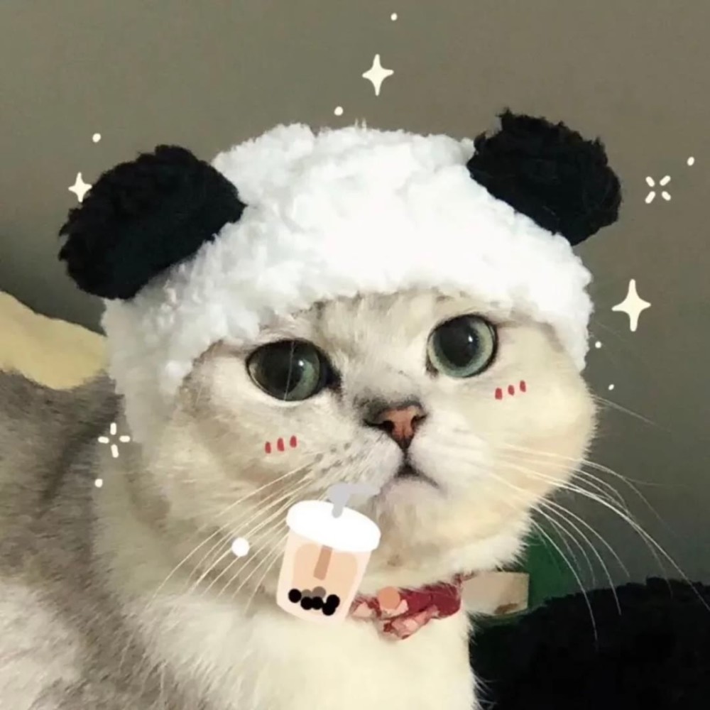情侣头像:有委屈说 我在 我会一直听 我会抱抱你