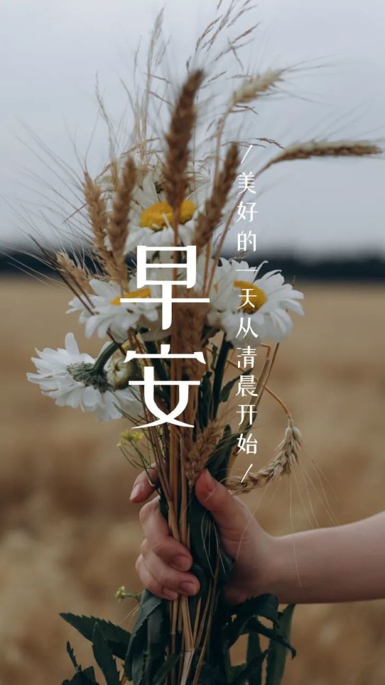 早安晚安语录正能量朋友圈图片句子