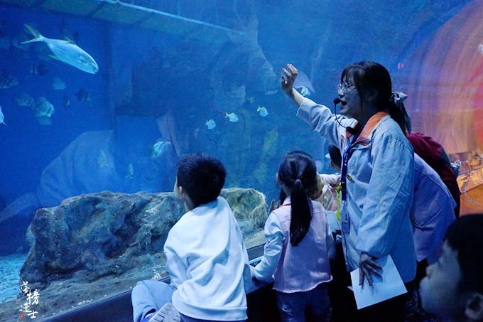 天津海昌极地海洋馆,这里的夜宿吸引了众多游客,你体验过吗?