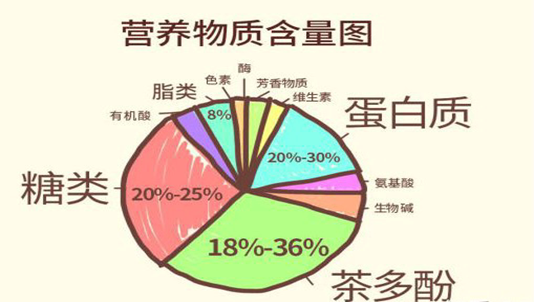 聊完茶的价格与发酵以及营养,那对于茶的品种呢?