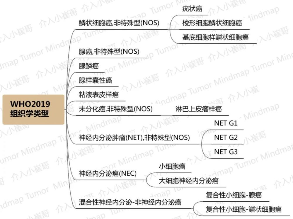 csco2021肿瘤思维导图06期|食管癌诊疗指南