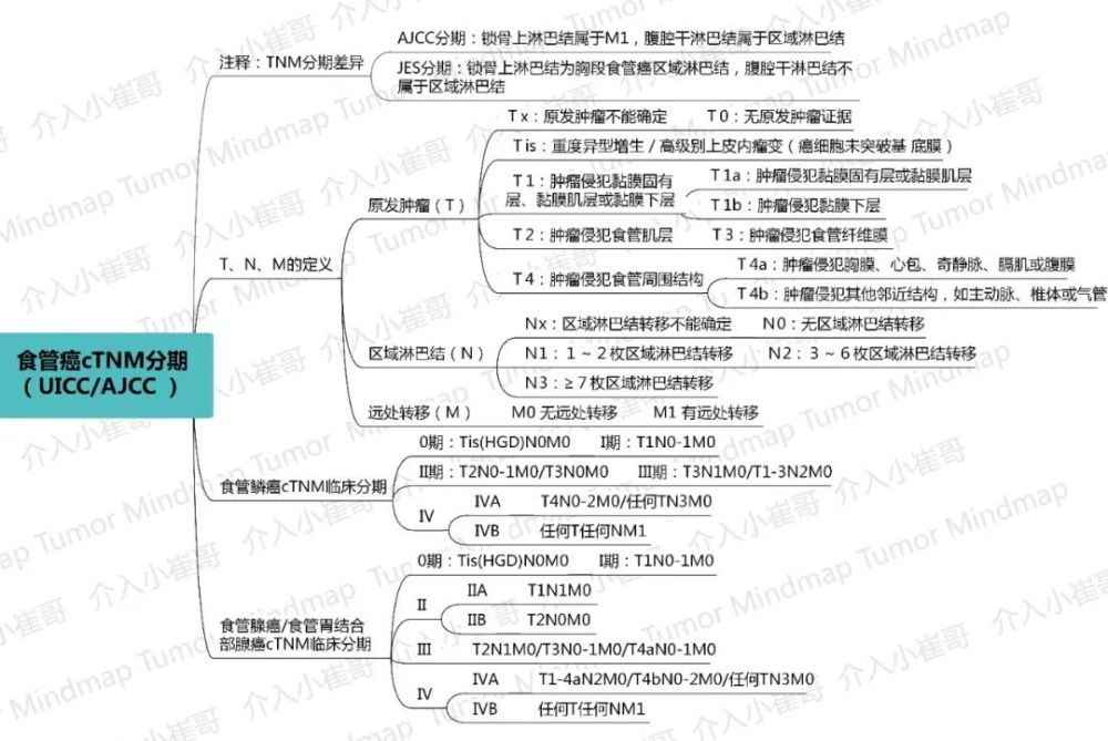 csco2021肿瘤思维导图06期|食管癌诊疗指南