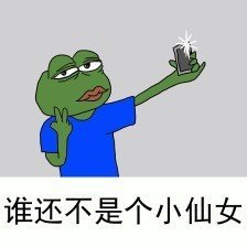 表情包谁还不是个小仙女