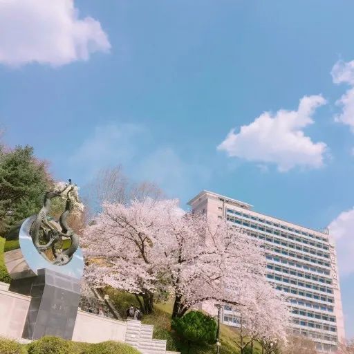2021年韩国国民大学9月本科招生简章