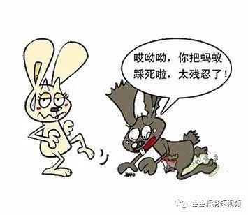 什么难什么症成语_成语故事手抄报
