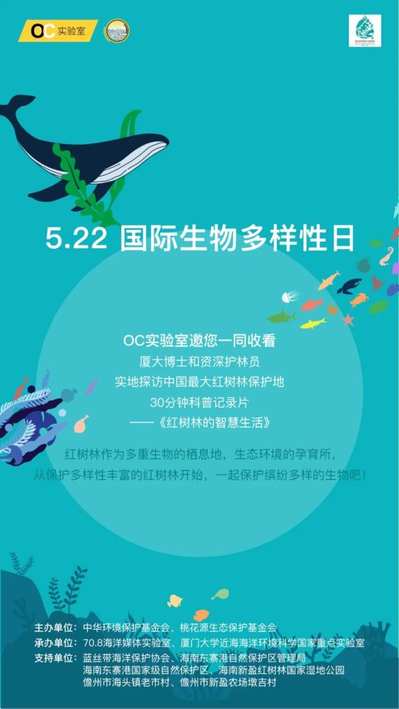 国际生物多样性日丨oc实验室,明日大片上线,开启海洋慢直播时代!