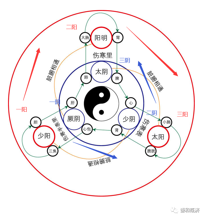 六经辩证传变顺序讨论,重构三阴三阳的次序,结合五运六气模型展开