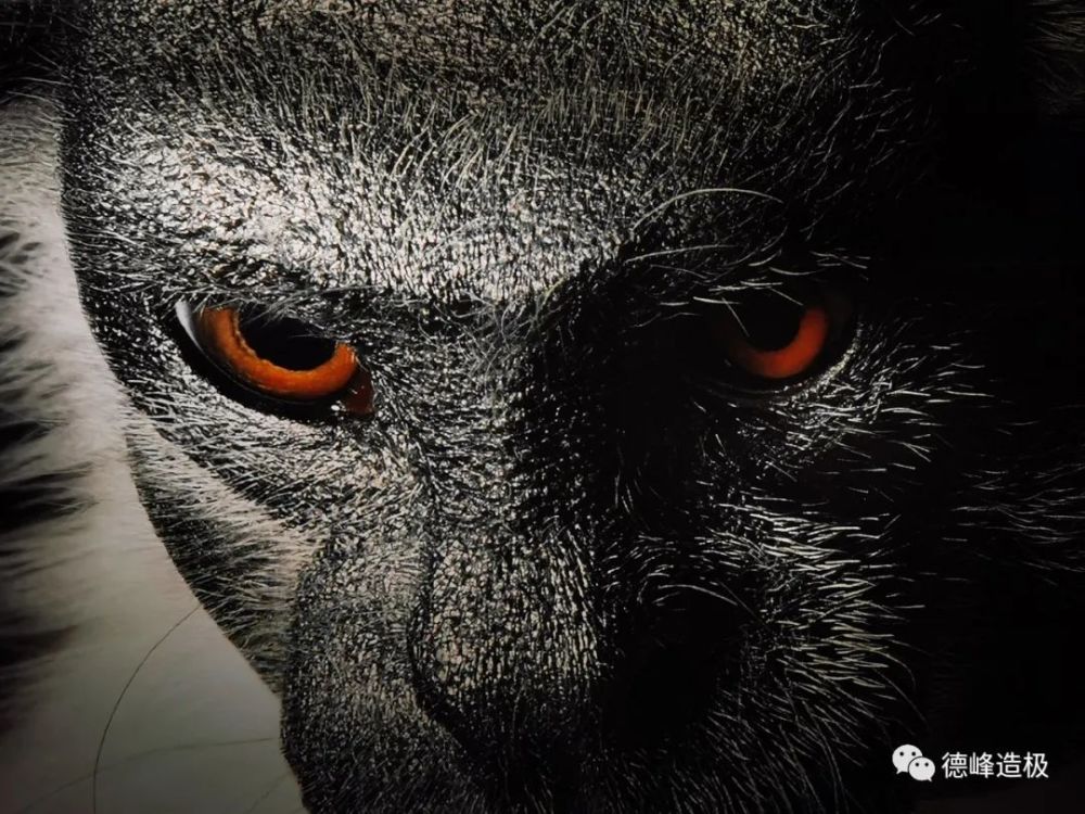 最后一眼 腾讯网