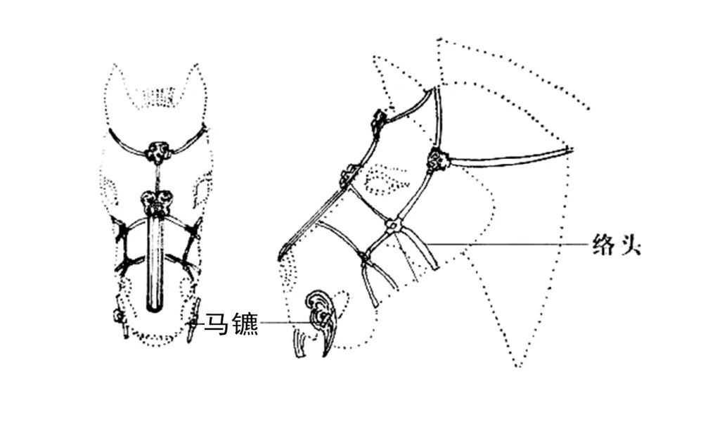 古人用马络头(马笼头)来控制马匹的方向,镳和衔是马络头的重要构件.