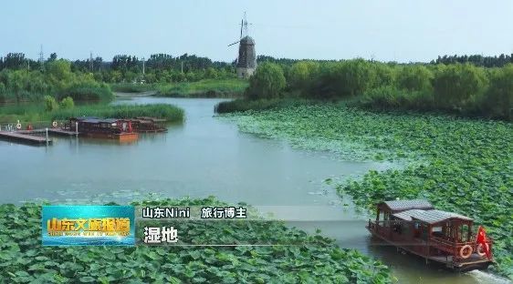 山东人游山东!黄河旅游再添名片,高青打造生态样板