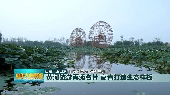 山东人游山东!黄河旅游再添名片,高青打造生态样板