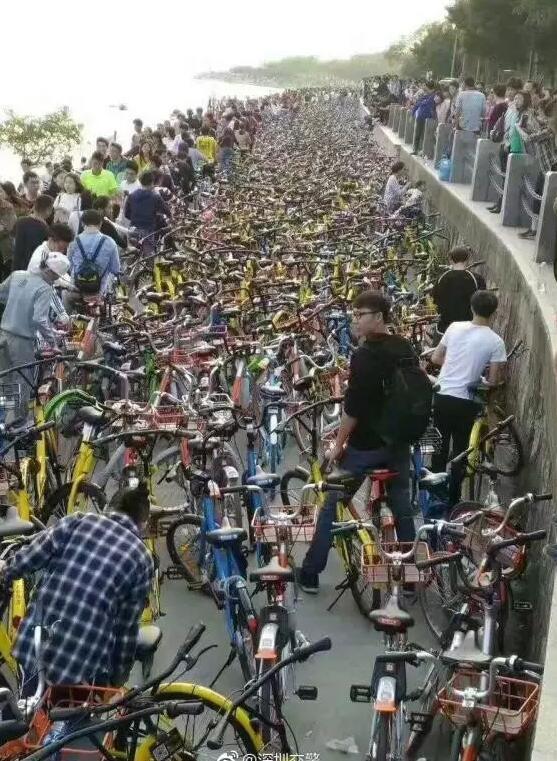 萬萬沒想到，有一天共享單車竟成了“災難”