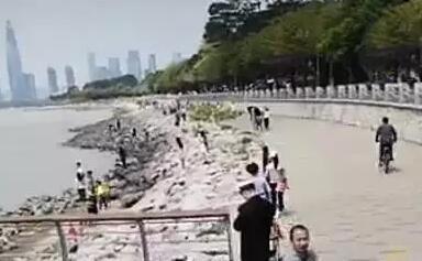 萬萬沒想到，有一天共享單車竟成了“災難”