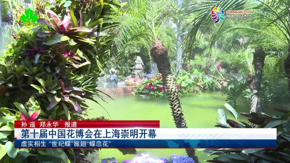 第十届中国花博会在上海崇明开幕 虚实相生 "世纪蝶"振翅"蝶恋花"