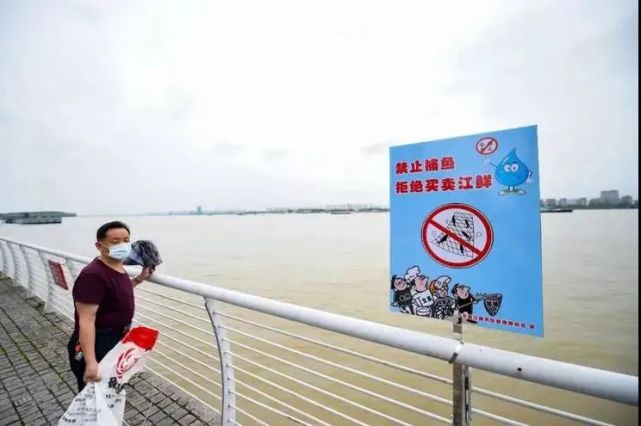 《大家说法110》-《关注长江"十年禁渔"》