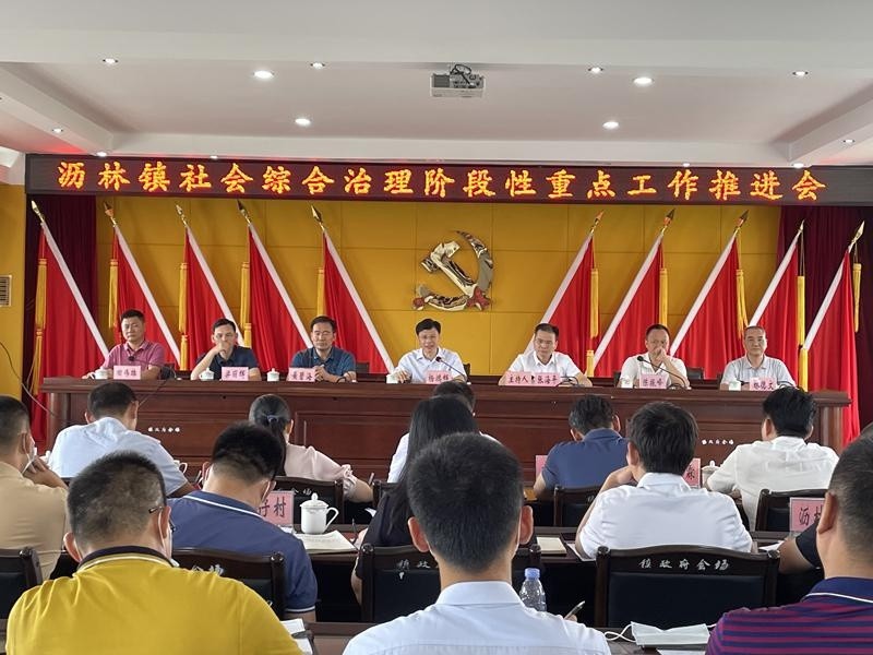 沥林镇召开全镇社会综合治理阶段性重点工作推进会