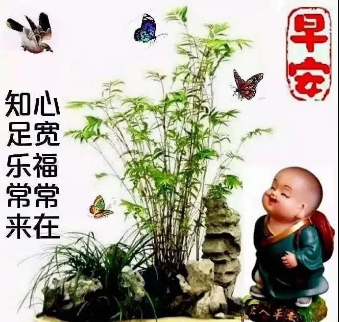 中老年表情包,知足乐常在,心宽福自来!