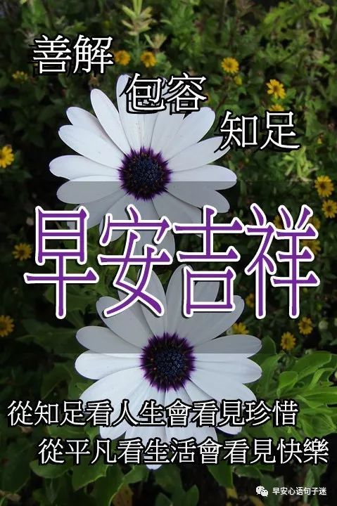 祝你早安简谱_祝你早安午安晚安视频(3)