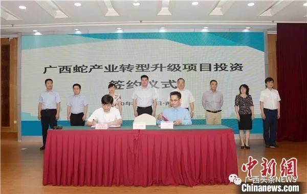 广西林业局野生动植物保护处处长张振球21日在新闻发布会上介绍,广西