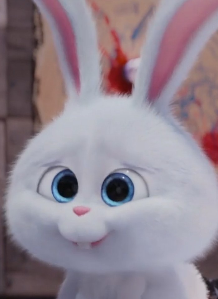 萌萌哒的小兔子表情包,来喽
