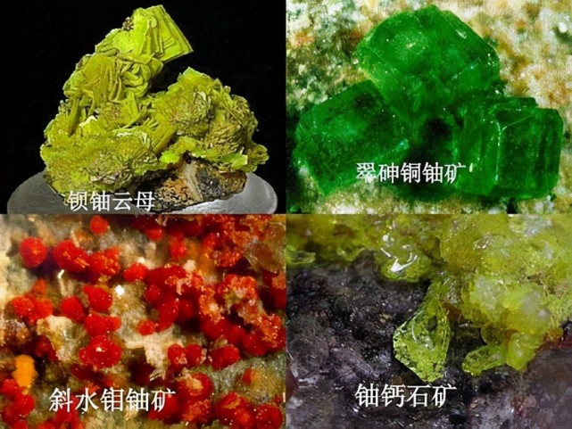 成分为氧化铀,次要成分为稀土跟一些矿物质,此外还有晶质铀矿,钛铀矿