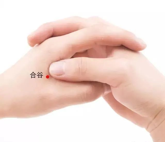 所谓"面口合谷收,即是说凡是头部,面部的问题,像头痛,牙痛,发热,口干
