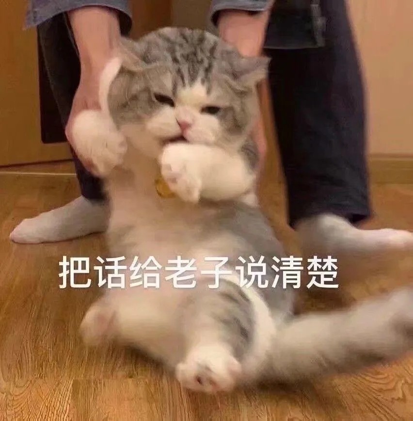 猫猫表情包|这谁顶得住啊