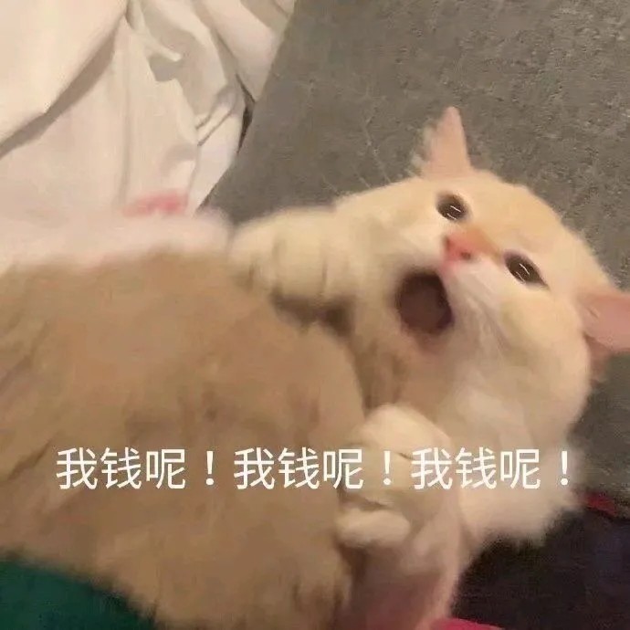 猫猫表情包|这谁顶得住啊