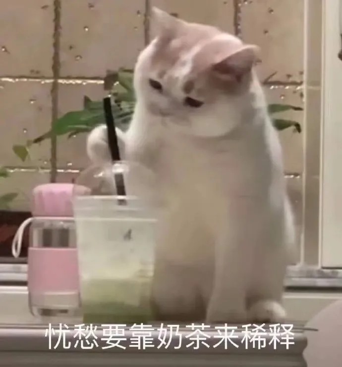 猫猫表情包|这谁顶得住啊