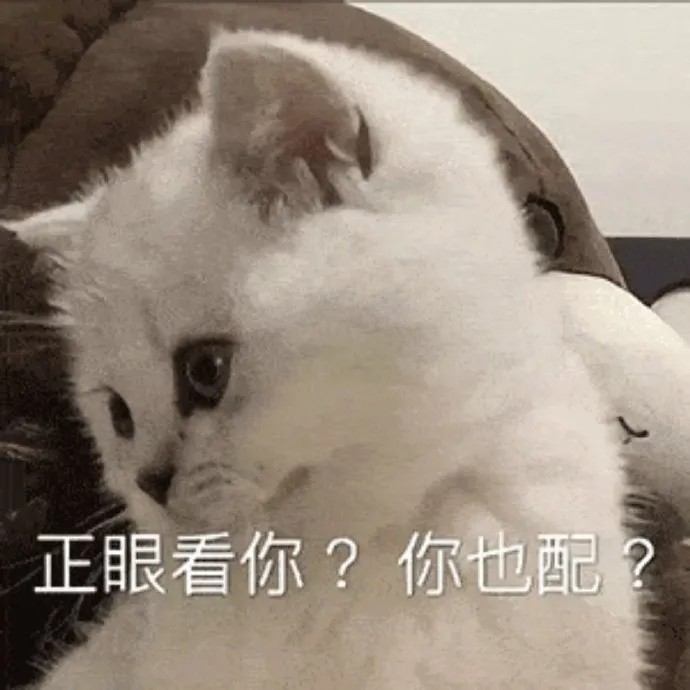 猫猫表情包|这谁顶得住啊