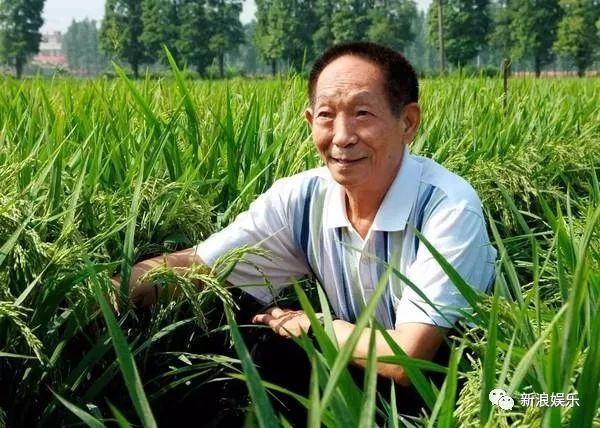国士无双,袁老一路走好