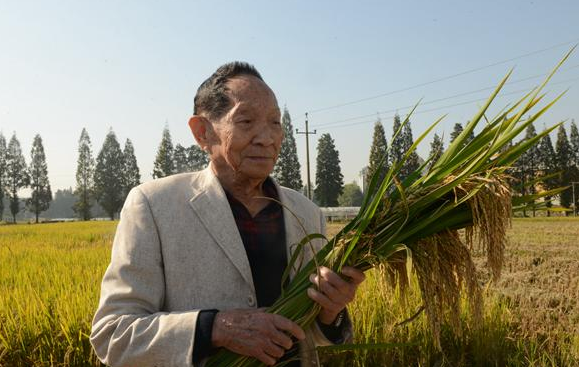 "稻田守望者"袁隆平:91年的逐粮梦,为让国人吃饱饭奋斗一生