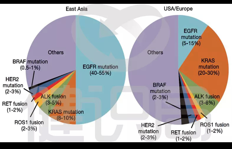 Egfr