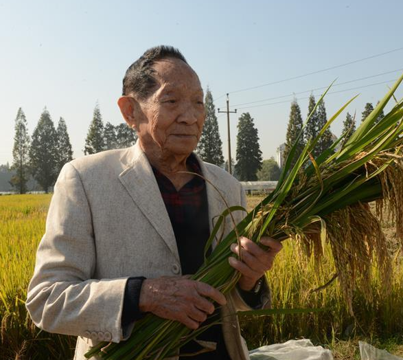 隆平高科是袁隆平院士开的公司吗