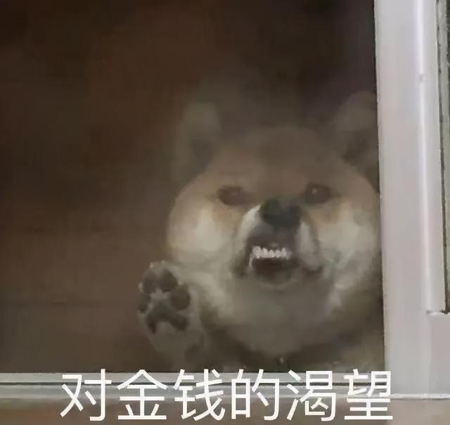 表情包对金钱的渴望