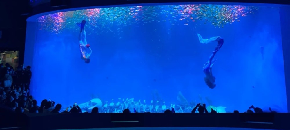 合肥汉海极地海洋世界